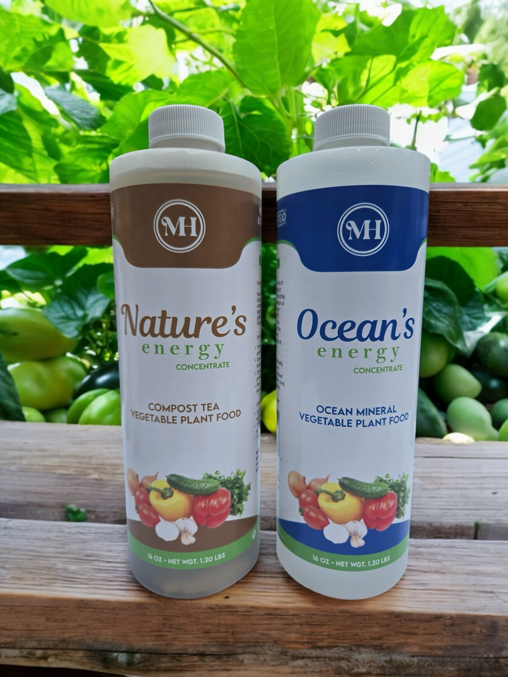 Ocean's Energy - Concentrate